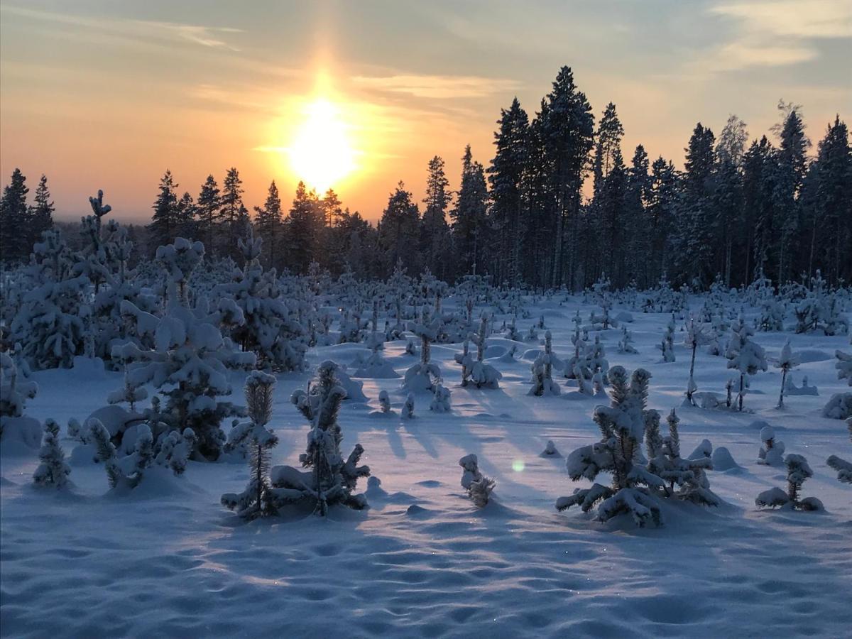 케미야르비 Soppela Retreat At The Arctic Circle 아파트 외부 사진